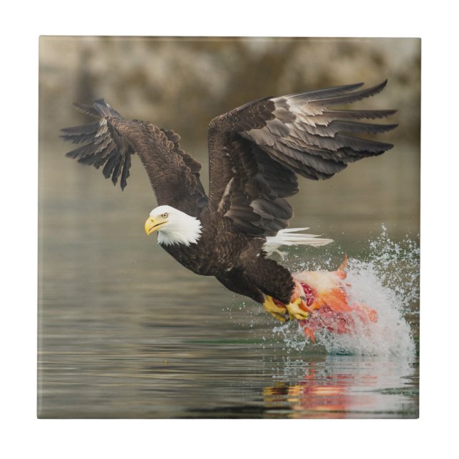 Explosive Bald Eagle Ceramic Tile (Front)