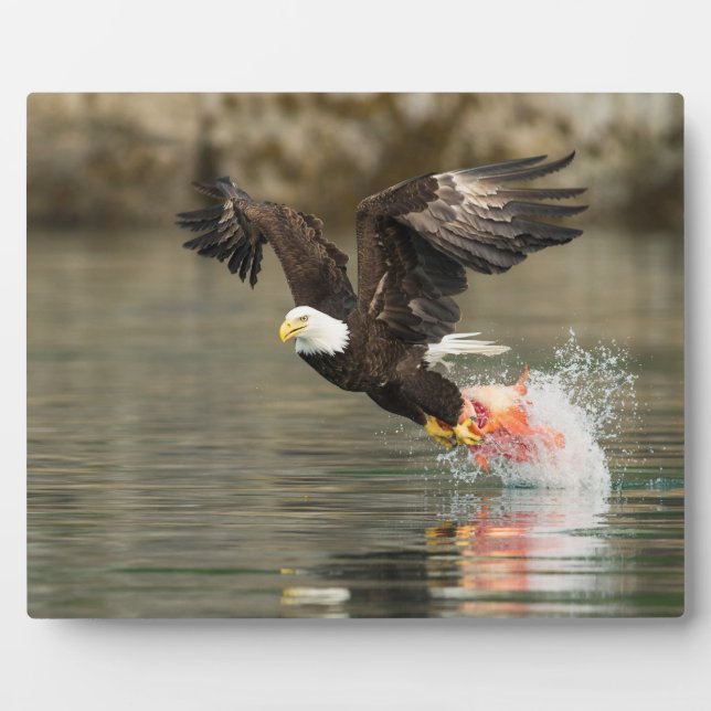 Explosive Bald Eagle Plaque (Front)