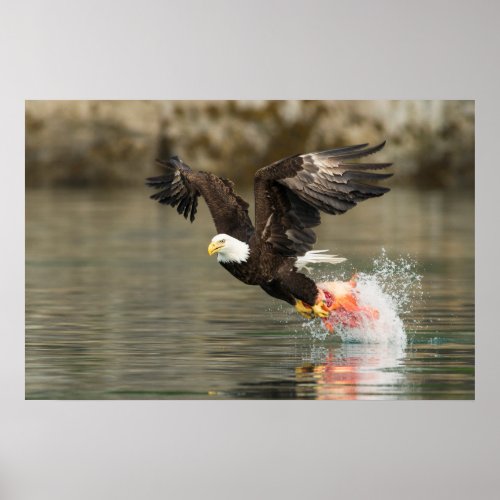 Explosive Bald Eagle Poster