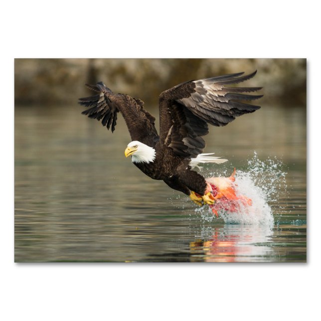 Explosive Bald Eagle Table Number (Front)