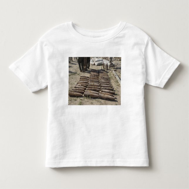 Explosive devices are identified and inventorie toddler t-shirt (Front)