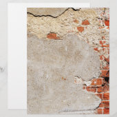 Exposed Brick and Mortar (Front/Back)