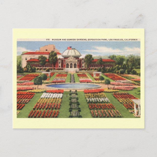 Exposition Park, Los Angeles, California Vintage Postcard (Front)