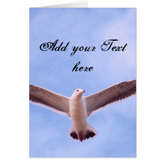 Express_ Cards (Front)