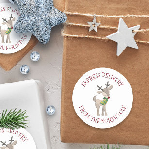 Express Delivery from the North Pole   Reindeer Classic Round Sticker