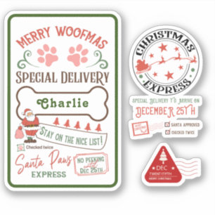 Express delivery North Pole Santa Mail gifts water Sticker