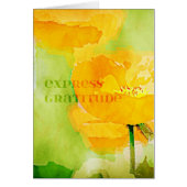 Express Gratitude Orange Poppy (Front)