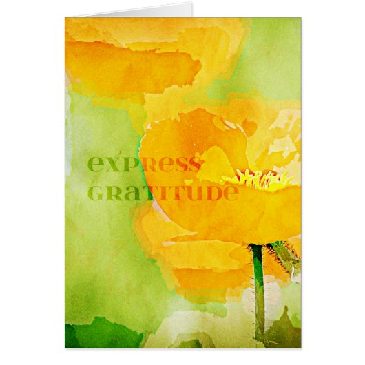 Express Gratitude Orange Poppy Cards (Front)