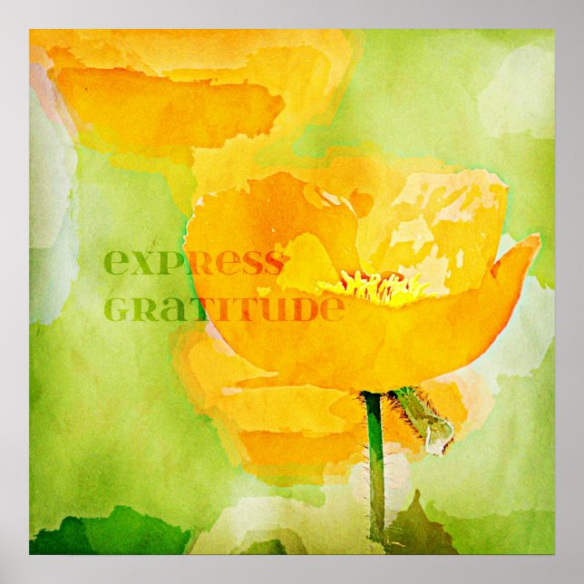 Express Gratitude Orange Poppy Poster (Front)