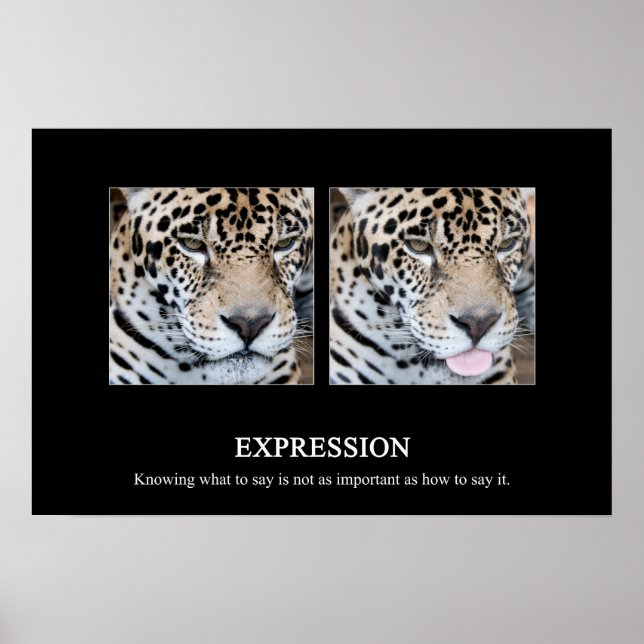 Expression Poster (Front)