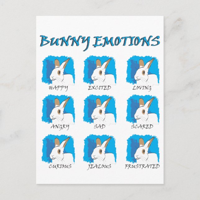 EXPRESSIONS POSTCARD (Front)