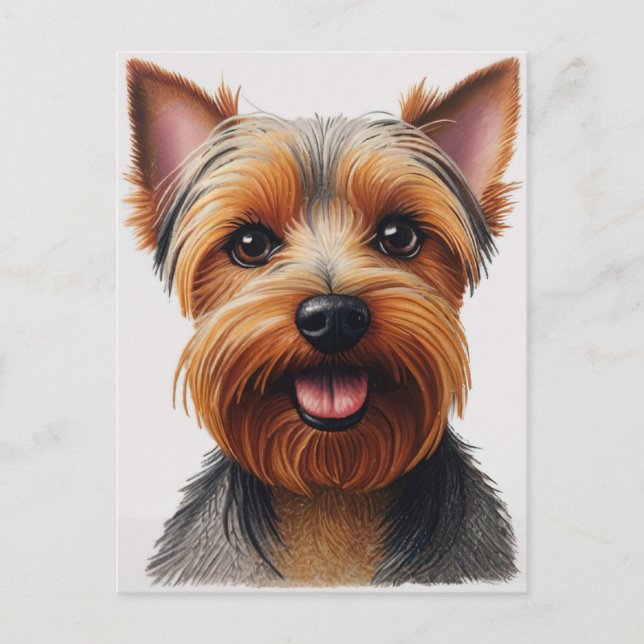 Expressive CloseUp Yorkshire Terrier Dog Portrait Postcard (Front)