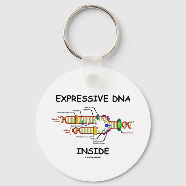 Expressive DNA Inside (DNA Replication) Keychain (Front)