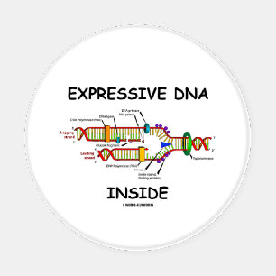 Expressive DNA Inside Molecular Biology Humor Coaster Set