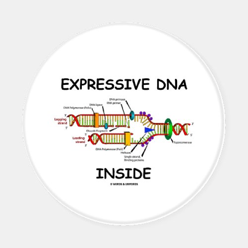 Expressive DNA Inside Molecular Biology Humor Coaster Set