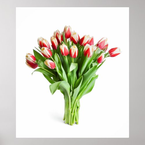 Exquisite Flowers Poster _ Tulips