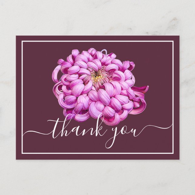 Exquisite Pink Decorative Chrysanthemum Thank You Postcard (Front)