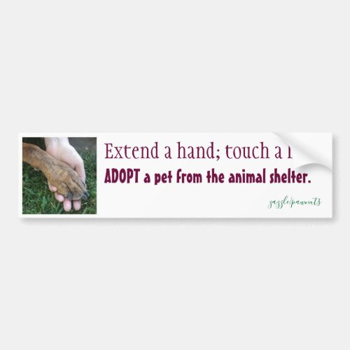 Extend a hand touch a life bumper sticker