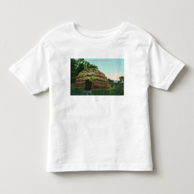 Exterior View of a Tule HutLake County, CA Toddler T-shirt (Front)