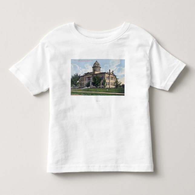 Exterior View of Canyon County Court House Toddler T-shirt (Front)