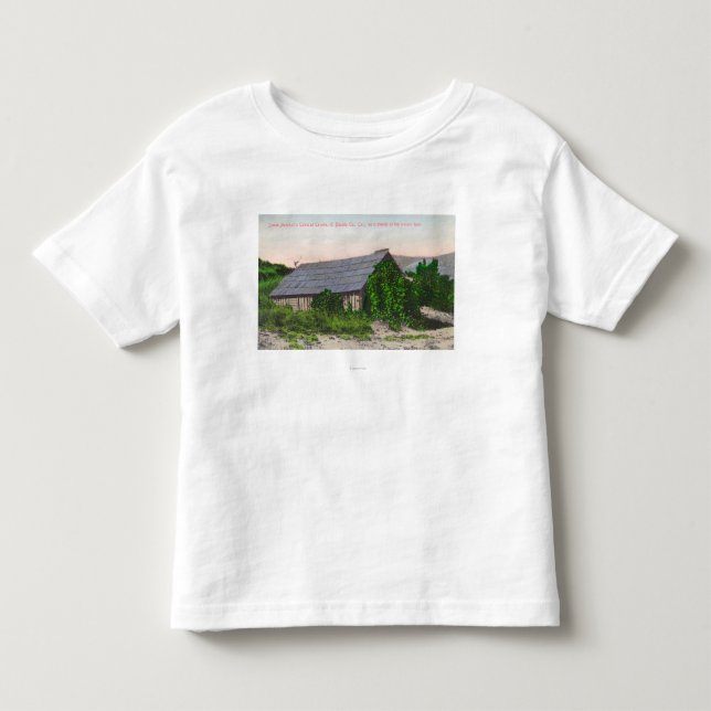 Exterior View of James Marshall Cabin Toddler T-shirt (Front)