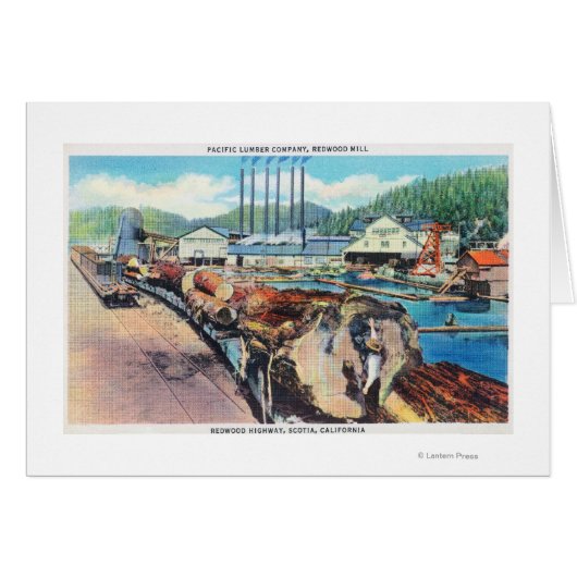 Exterior View of Pacific Lumber Co, Redwood (Front Horizontal)