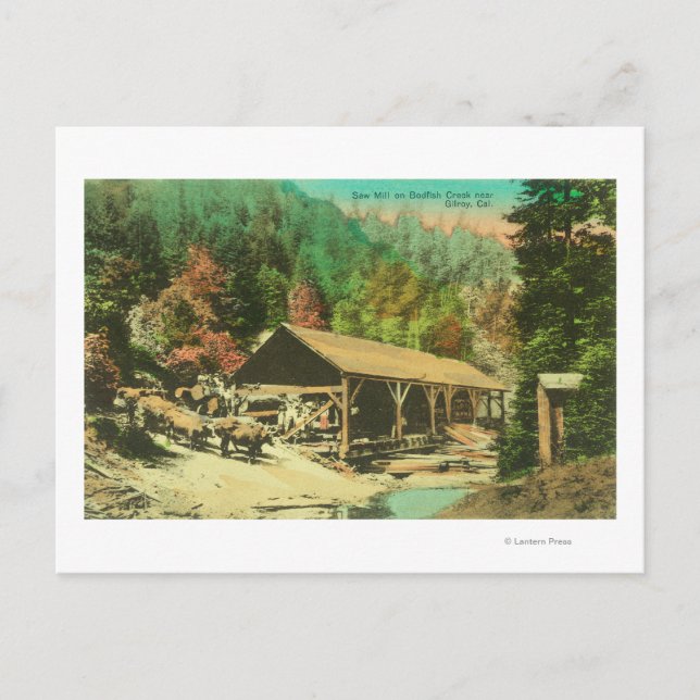 Exterior View of Saw Mill on Bodfish Creek Postcard (Front)