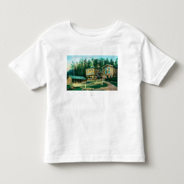 Exterior View of School House and Post Office Toddler T-shirt (Front)