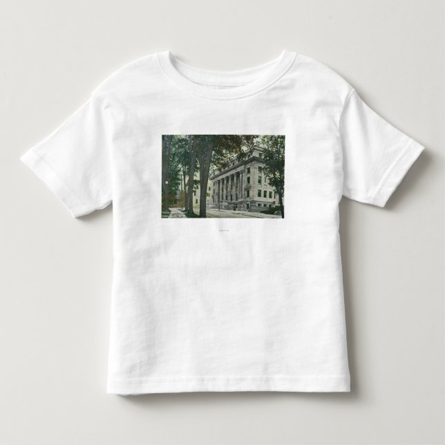 Exterior View of the County Court House Toddler T-shirt (Front)