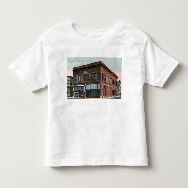 Exterior View of the IOOF Building Toddler T-shirt (Front)