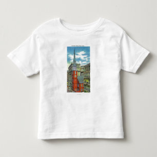 Exterior View of the Old South Church Toddler T-shirt