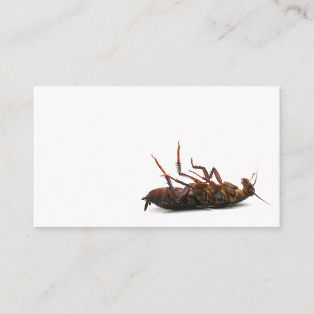 Exterminator business card (Front)