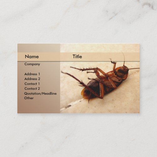 exterminator business card template