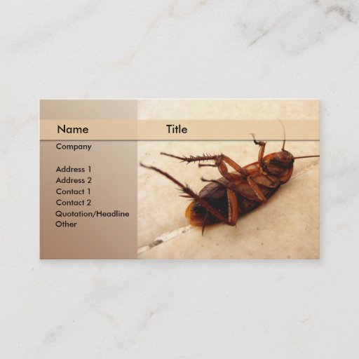 Customizable exterminator business card template