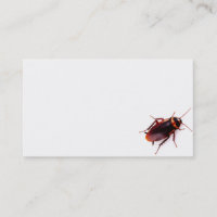 Exterminator Business Cards (Cockroach)