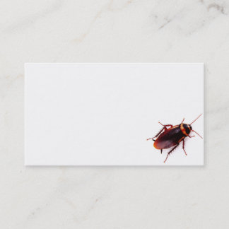Exterminator Business Cards (Cockroach)