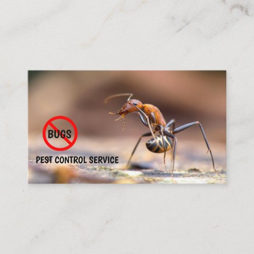 Exterminator Pest Control Original Image  Referral Card