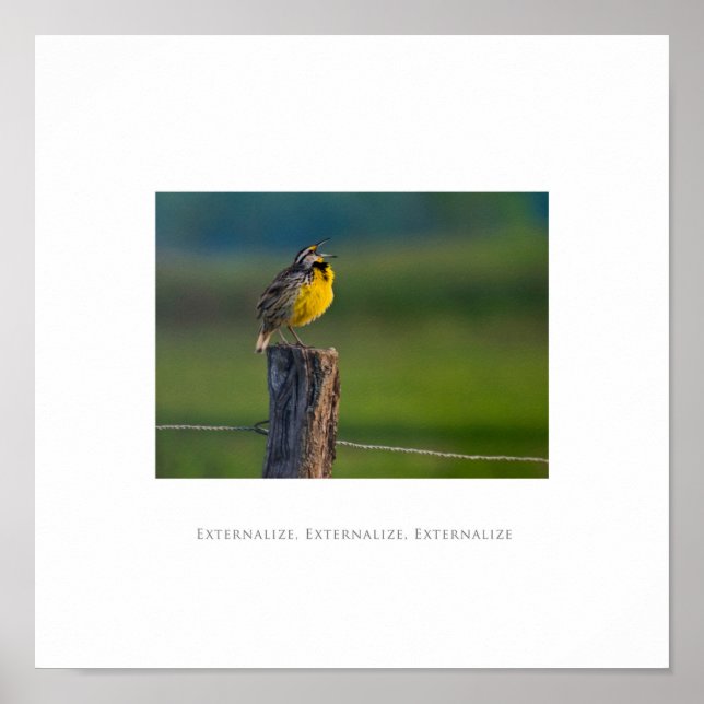 Externalize, Externalize, Externalize Poster (Front)