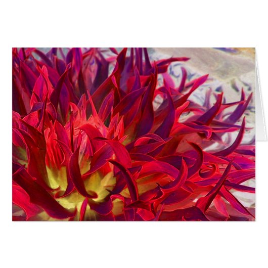 Exterra Dahlia Cards (Front Horizontal)