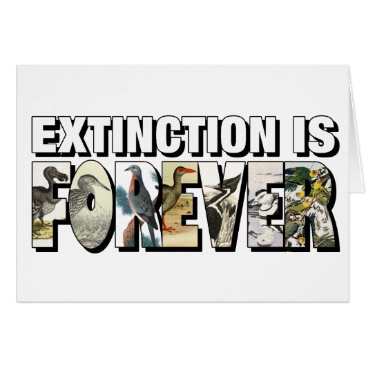 Extinction Is Forever Cards (Front Horizontal)