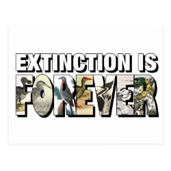 endling extinction is forever review download free