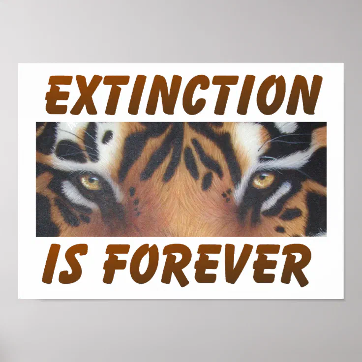 Extinction is forever poster | Zazzle Extinction is forever poster | Zazzle
