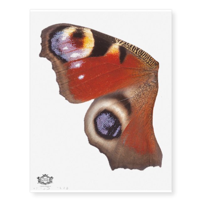 Extra large Peacock Butterfly left wing Temporary Tattoos (Front)