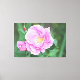 Extra Large Pink Rose Canvas Print
