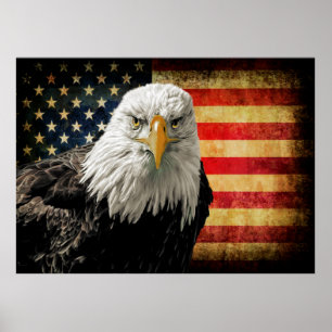Extra Lg. Powerful USA Eagle Flag Poster