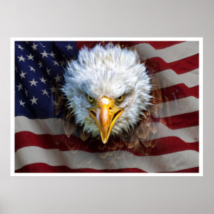 Extra Lg. Powerful USA Eagle Flag Poster