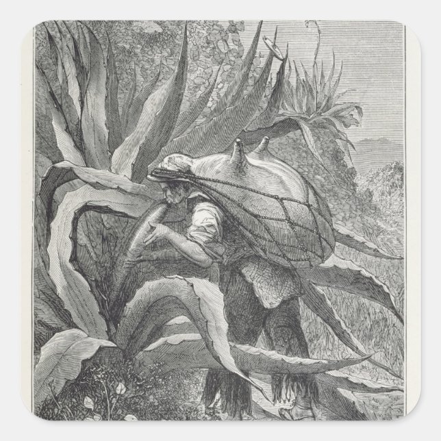 Extracting Pulque Square Sticker (Front)