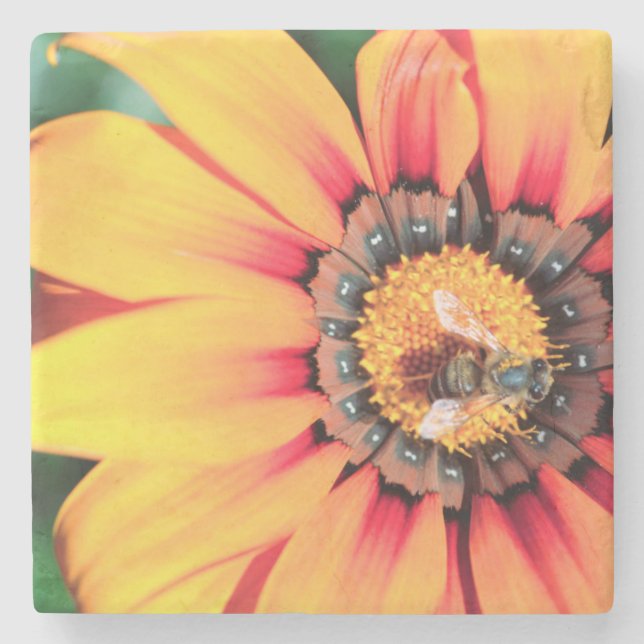 Extreme Close-Up Of A Bee Collecting Pollen Stone Coaster (Front)