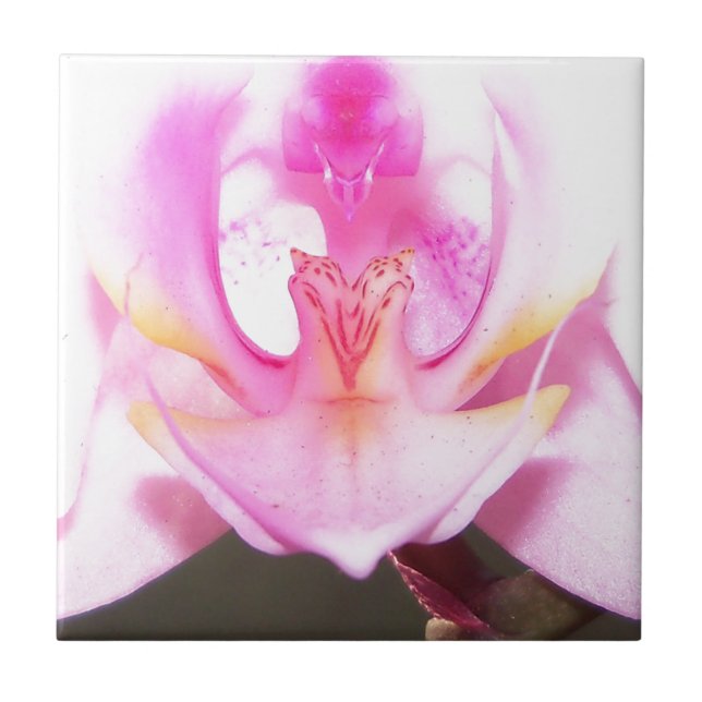 extreme close up of the inside of an orchid flower ceramic tile (Front)