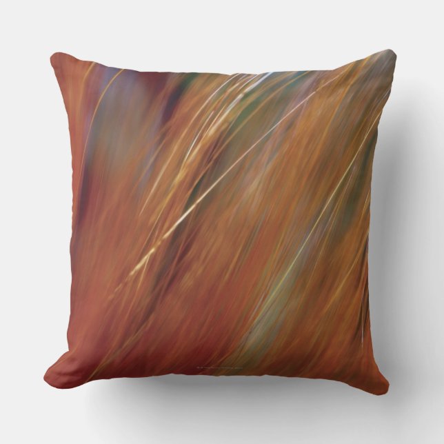 Extreme close-up of wheat growing in field throw pillow (Front)